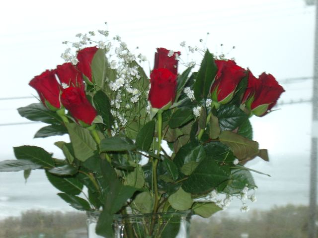 Wayne's Roses